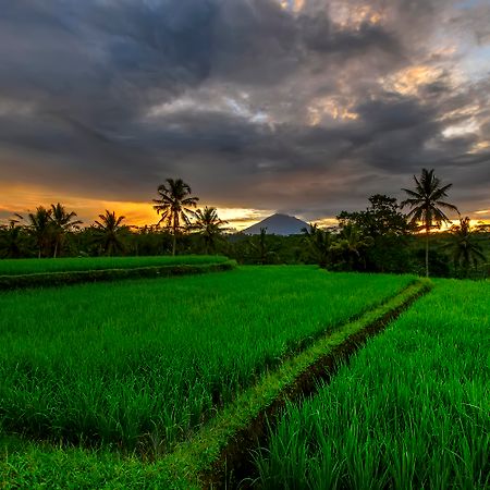 Kawi Resort A Pramana Experience Tegallalang  Exteriér fotografie