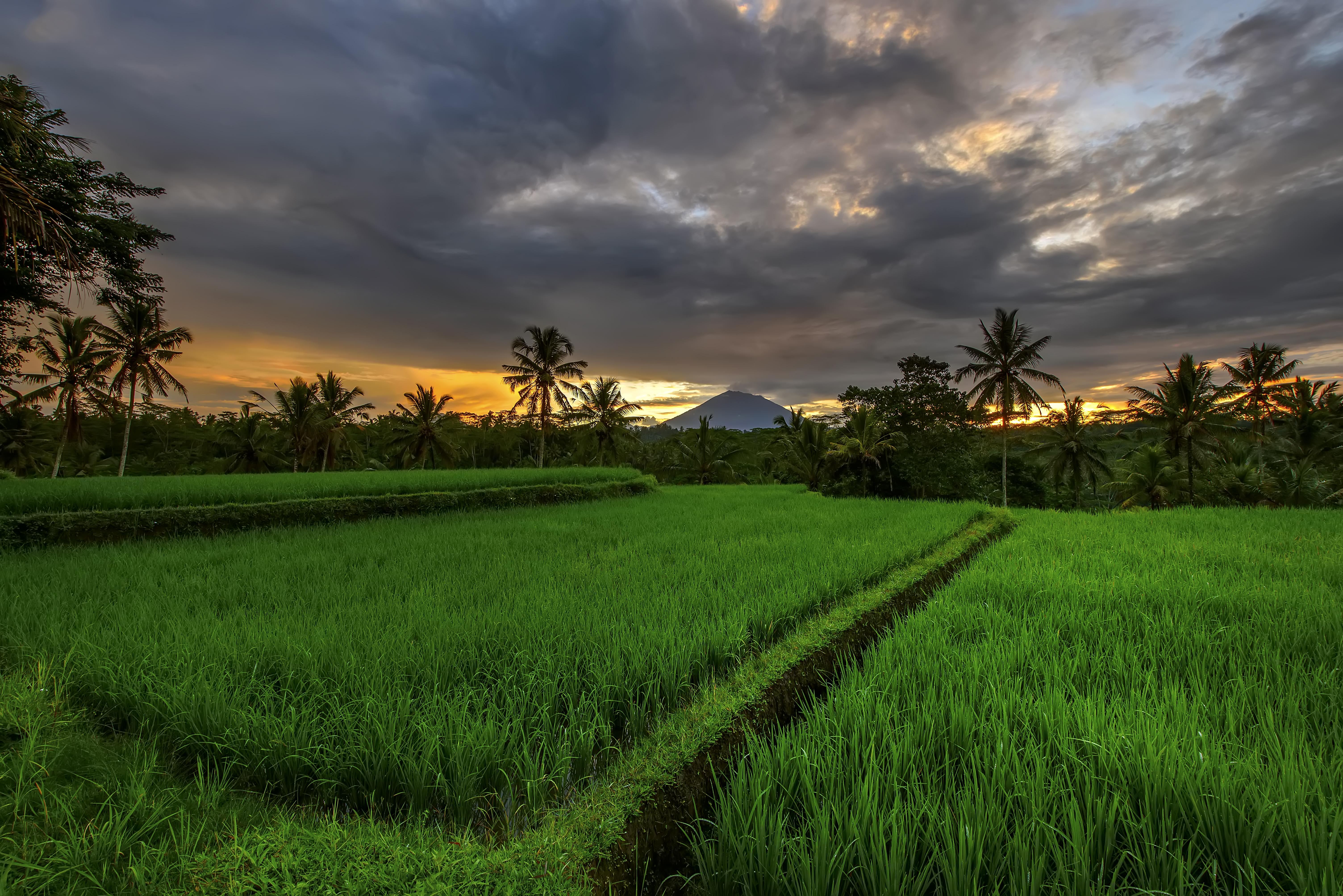 Kawi Resort A Pramana Experience Tegallalang  Exteriér fotografie