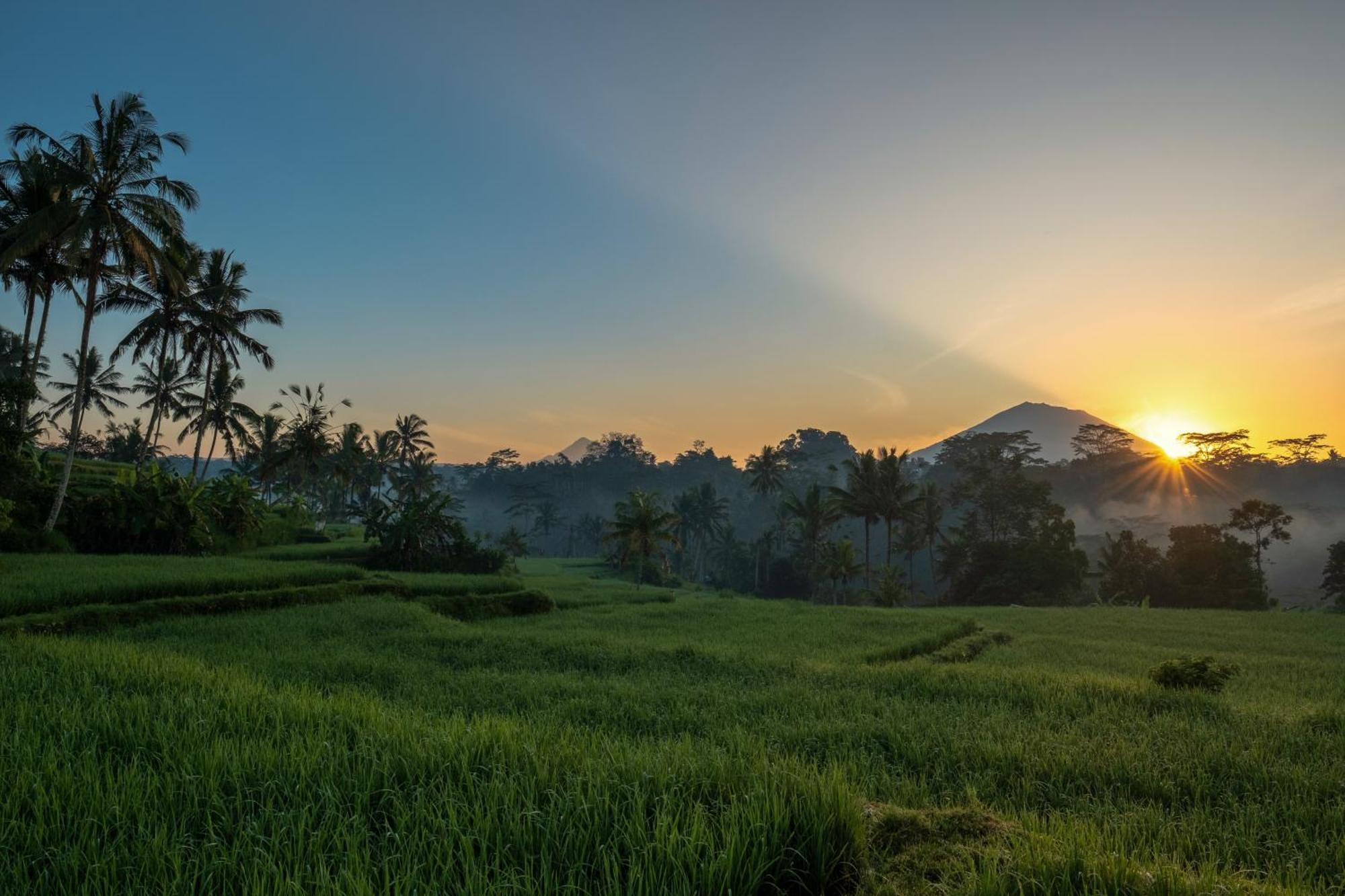 Kawi Resort A Pramana Experience Tegallalang  Exteriér fotografie